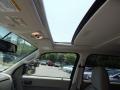 Sterling Gray Metallic - Escape XLT V6 Photo No. 5