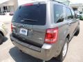 Sterling Gray Metallic - Escape XLT V6 Photo No. 14