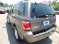 Sterling Gray Metallic - Escape XLT V6 Photo No. 15