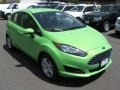 2014 Green Envy Ford Fiesta SE Hatchback  photo #1