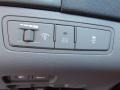 Phantom Black Metallic - Sonata GLS Photo No. 17