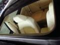 Black - Passat TDI SEL Premium Photo No. 9