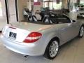 Iridium Silver Metallic - SLK 350 Roadster Photo No. 12