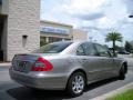 Pewter Metallic - E 320 BlueTEC Sedan Photo No. 6