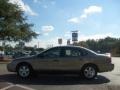 Arizona Beige Metallic - Taurus SE Photo No. 6