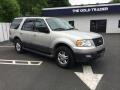2005 Silver Birch Metallic Ford Expedition XLT 4x4  photo #8