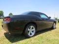 2014 Black Dodge Challenger SXT  photo #3