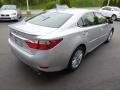 Silver Lining Metallic - ES 350 Photo No. 5