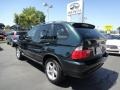 2003 Oxford Green Metallic BMW X5 3.0i  photo #7