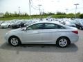Radiant Silver - Sonata GLS Photo No. 4