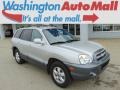 Pewter 2006 Hyundai Santa Fe GLS 4WD