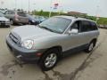 Pewter - Santa Fe GLS 4WD Photo No. 4