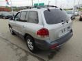 Pewter - Santa Fe GLS 4WD Photo No. 6