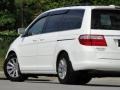 Taffeta White - Odyssey Touring Photo No. 35