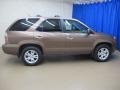 2004 Burnished Bronze Metallic Acura MDX Touring  photo #10