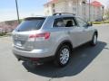 Liquid Silver Metallic - CX-9 Touring AWD Photo No. 6