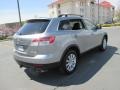 2009 Liquid Silver Metallic Mazda CX-9 Touring AWD  photo #6