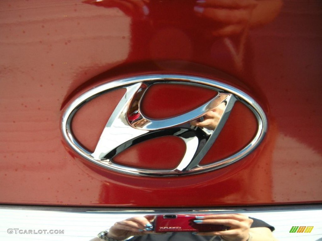 2011 Sonata SE 2.0T - Venetian Red / Gray photo #19