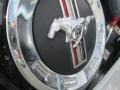 2013 Ingot Silver Metallic Ford Mustang V6 Premium Coupe  photo #6