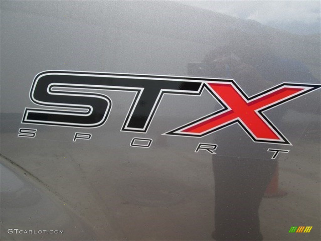 2014 F150 XLT SuperCrew - Sterling Grey / Black photo #11