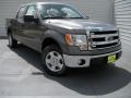 2014 Sterling Grey Ford F150 XLT SuperCrew  photo #1