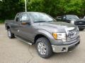 Sterling Grey 2014 Ford F150 XLT SuperCab 4x4 Exterior