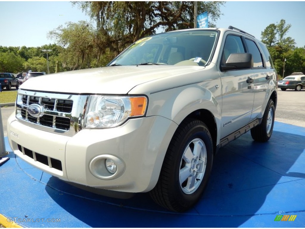 Light Sage Metallic 2008 Ford Escape XLT V6 Exterior Photo #93772271