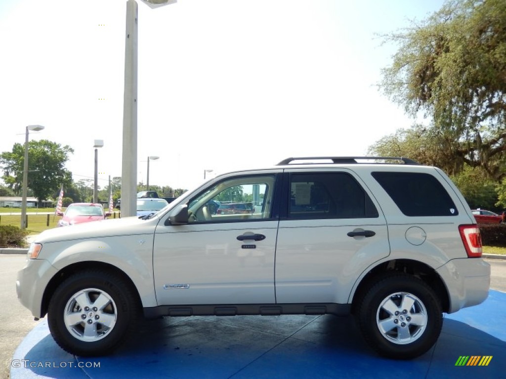 Light Sage Metallic 2008 Ford Escape XLT V6 Exterior Photo #93772293