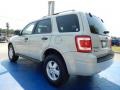Light Sage Metallic - Escape XLT V6 Photo No. 3