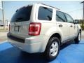Light Sage Metallic - Escape XLT V6 Photo No. 5