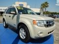 Light Sage Metallic - Escape XLT V6 Photo No. 7
