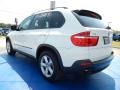 Alpine White - X5 3.0si Photo No. 3