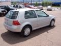 Satin Silver - Golf GL 2 Door Photo No. 3