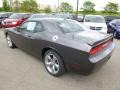 Granite Crystal Metallic - Challenger R/T Plus Photo No. 8