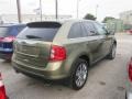 2013 Ginger Ale Metallic Ford Edge Limited  photo #9
