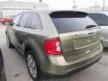 2013 Ginger Ale Metallic Ford Edge Limited  photo #14