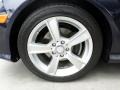 Lunar Blue Metallic - C 250 Coupe Photo No. 23