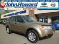 Topaz Gold Metallic 2009 Subaru Forester 2.5 X