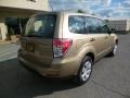 Topaz Gold Metallic - Forester 2.5 X Photo No. 11