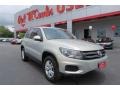 Reflex Silver Metallic 2013 Volkswagen Tiguan S
