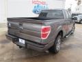 2014 Sterling Grey Ford F150 STX SuperCab  photo #7