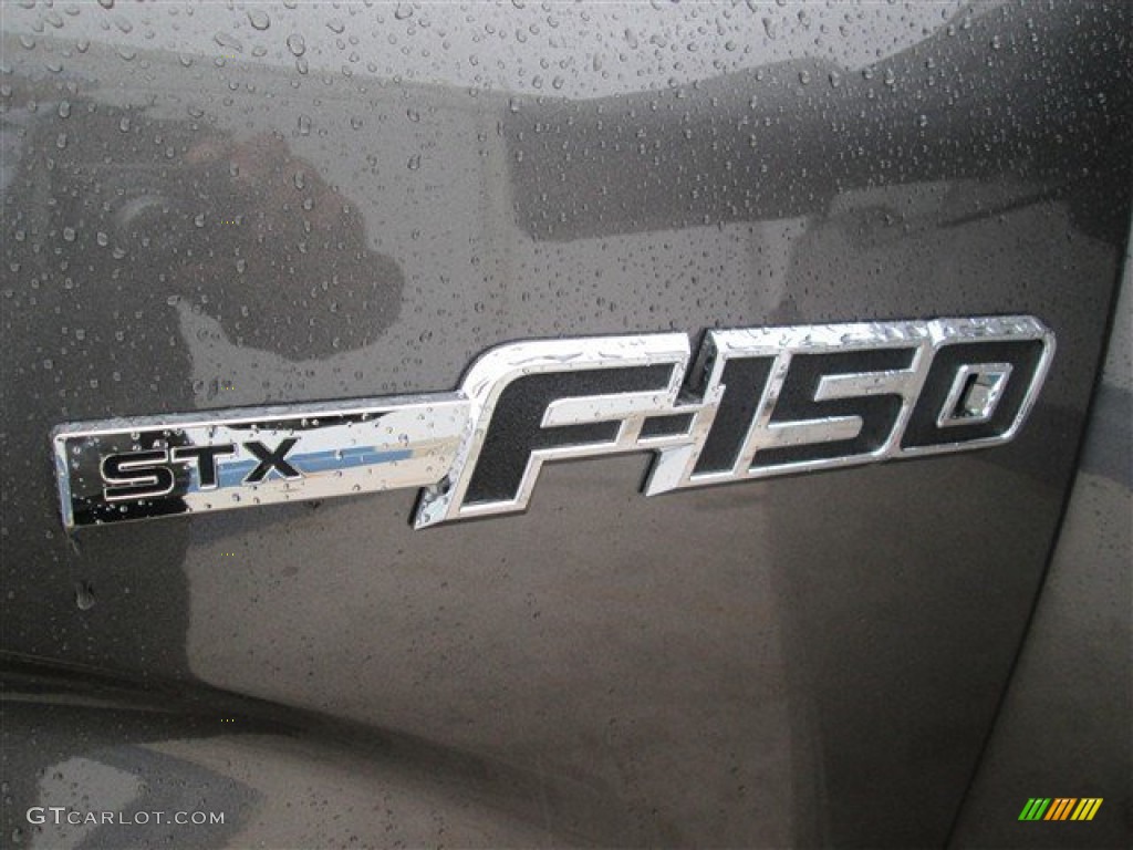 2014 F150 STX SuperCab - Sterling Grey / Steel Grey photo #14