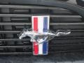 Black - Mustang GT/CS California Special Coupe Photo No. 10