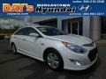 Porcelain White Pearl - Sonata Hybrid Photo No. 1