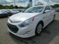 Porcelain White Pearl - Sonata Hybrid Photo No. 3