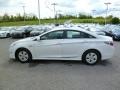 Porcelain White Pearl - Sonata Hybrid Photo No. 4