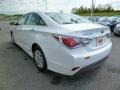 Porcelain White Pearl - Sonata Hybrid Photo No. 5