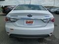 Porcelain White Pearl - Sonata Hybrid Photo No. 6