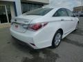 Porcelain White Pearl - Sonata Hybrid Photo No. 7