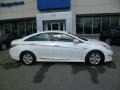 Porcelain White Pearl - Sonata Hybrid Photo No. 8